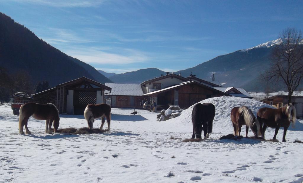 Agriturismo Maso Grisun Borzago Exteriör bild