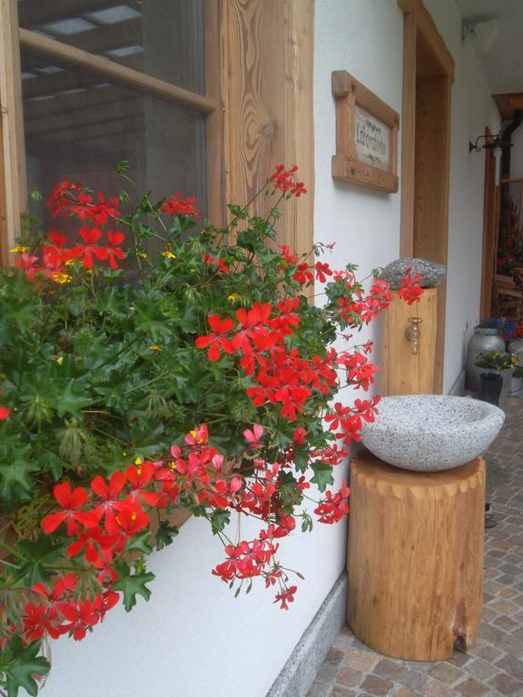 Agriturismo Maso Grisun Borzago Rum bild