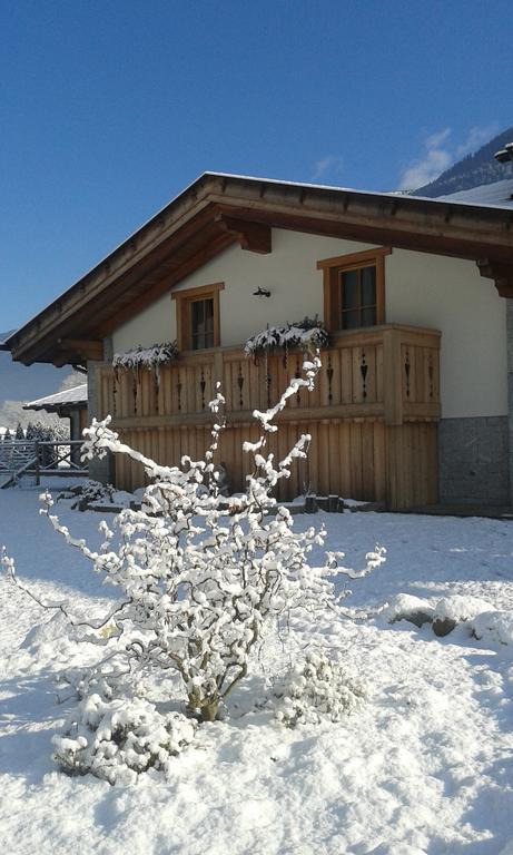 Agriturismo Maso Grisun Borzago Exteriör bild