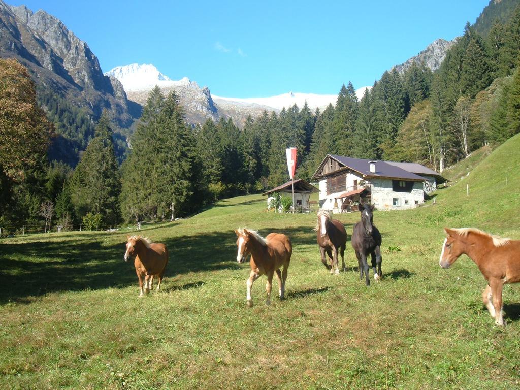 Agriturismo Maso Grisun Borzago Exteriör bild
