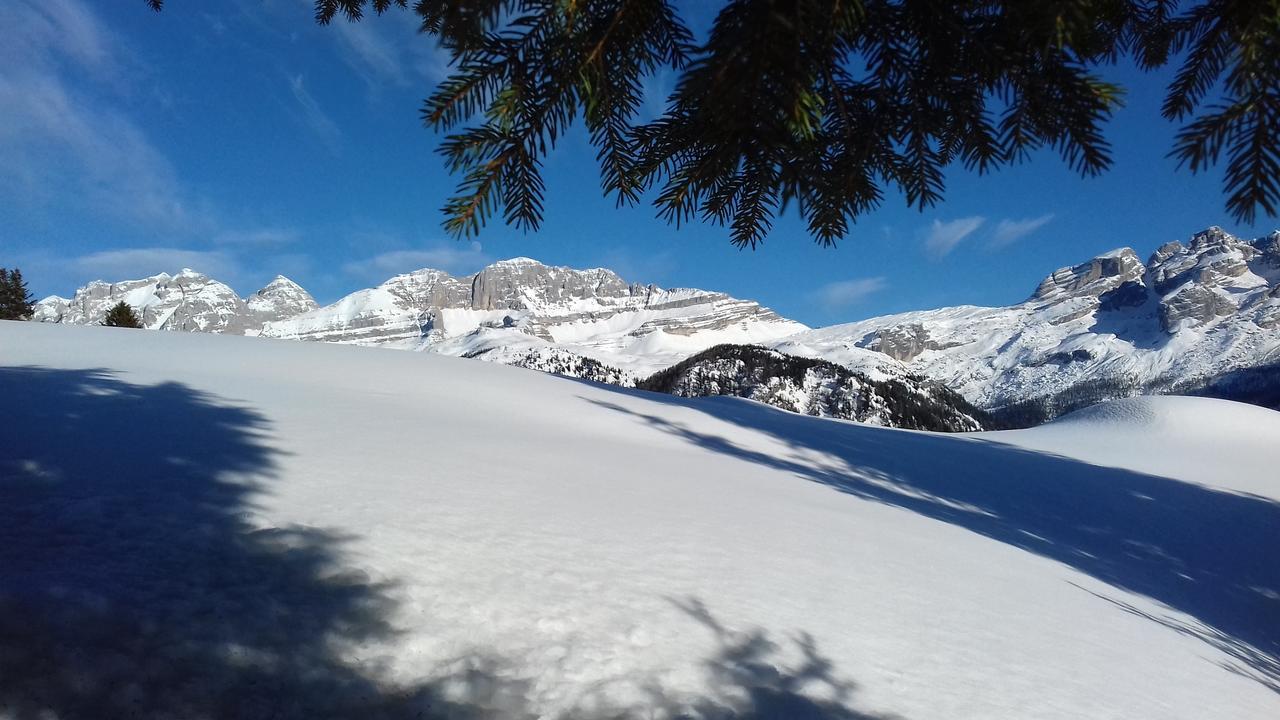 Agriturismo Maso Grisun Borzago Exteriör bild