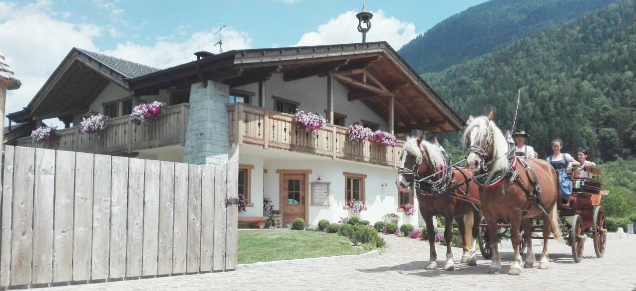 Agriturismo Maso Grisun Borzago Exteriör bild